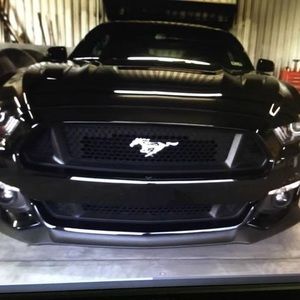 Meet your Posher, Gino